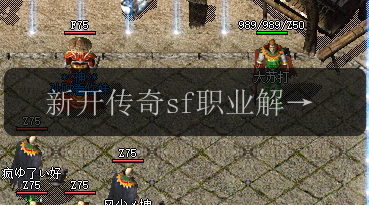 新开传奇sf职业解析_哪个职业的分身术在战斗中更具优势_